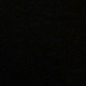 Meet your Posher, Tony